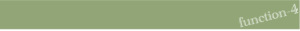 function4