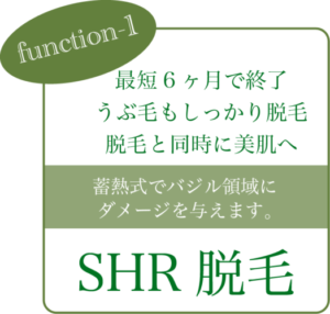 function1