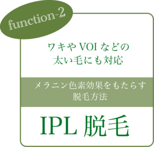 function2