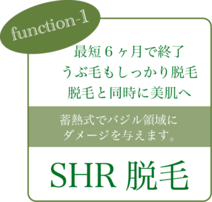 function1