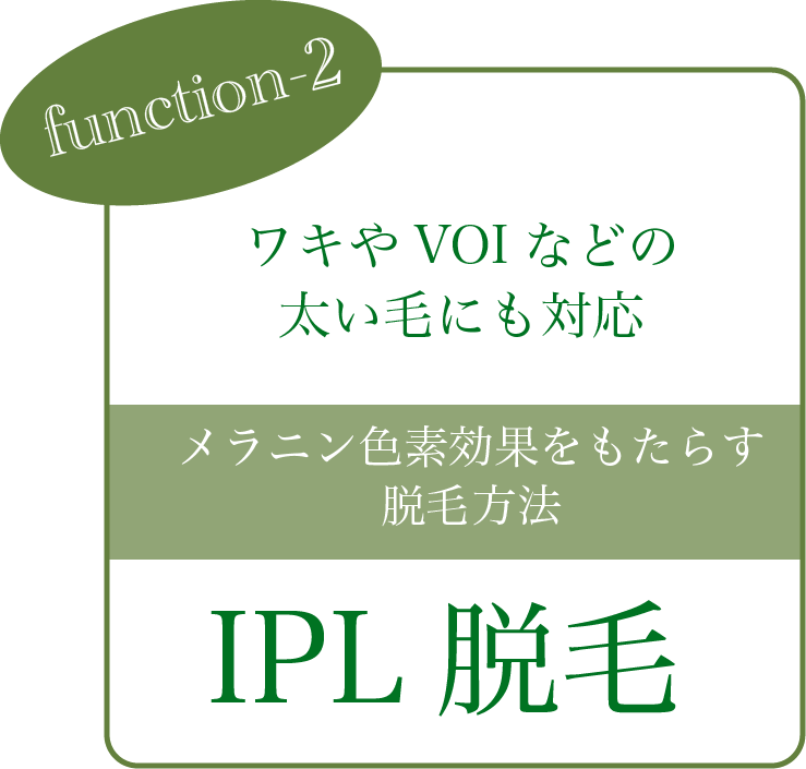 function2