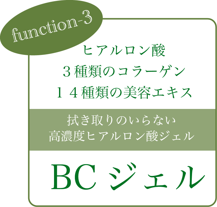 function3